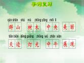 部编版小学语文二年级上册第四单元知识点复习课件