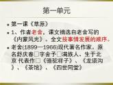 部编版小学语文五年级下册期中每课重点复习课件
