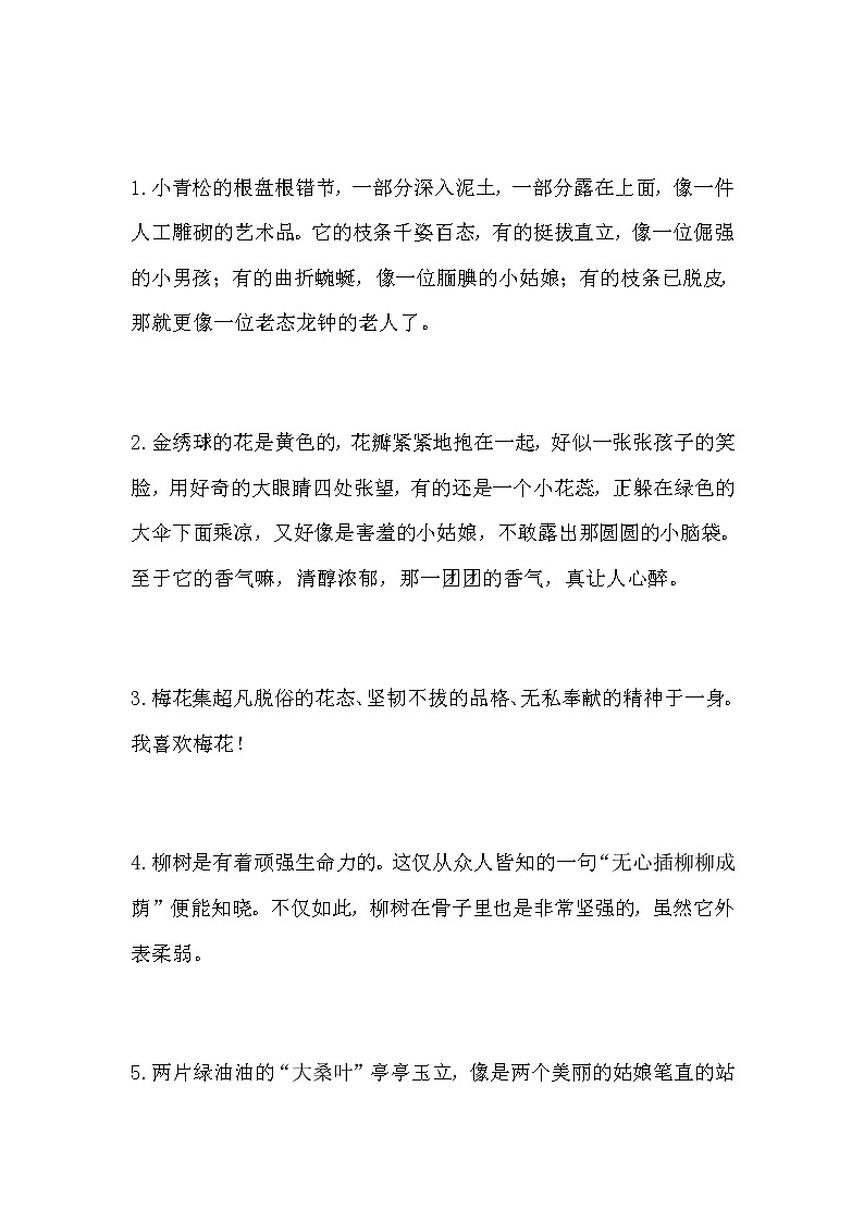 语文作文：描写植物的好词好句及范文02