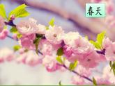 小学语文一年级上册《四季》　课件
