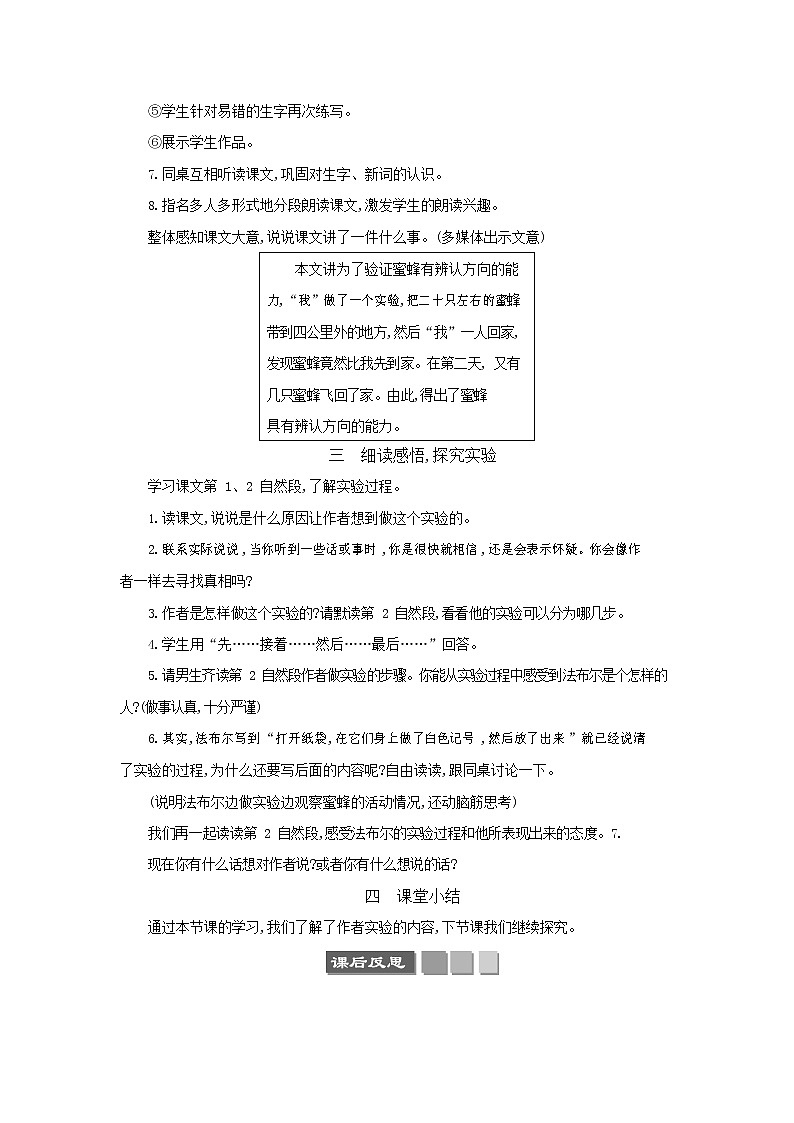 人教部编版三年级语文下册《蜜蜂》教案教学设计第3页