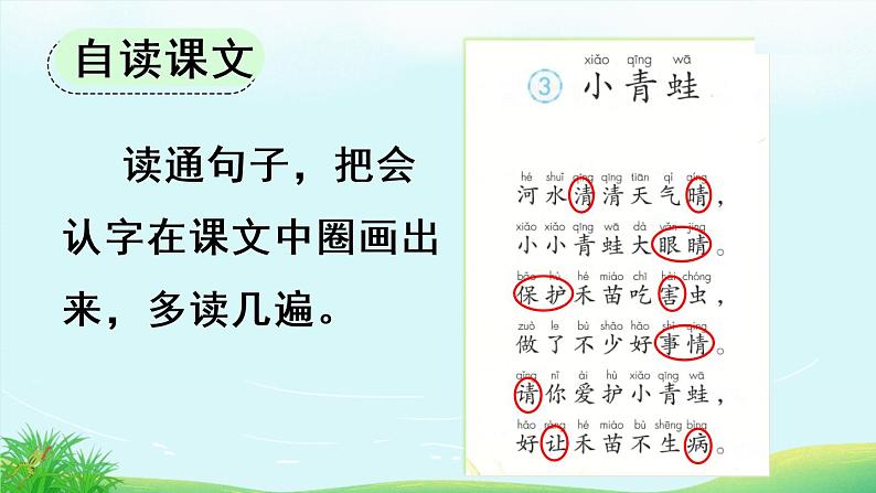 人教版语文一下《小青蛙》课件PPT第4页