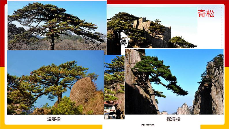 9.《黄山奇石》第一课时 课件+教案+同步练习04