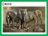 部编语文5年级下册习作：神奇的探险之旅（课件）-2021-2022学年