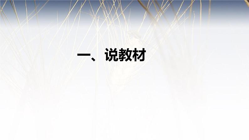 小学语文《习作一猜猜他是谁》第二课时课时说课课件第4页