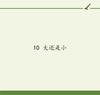 2020-2021学年10 大还是小课文课件ppt