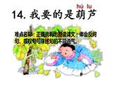 14.我要的是葫芦 （课件）（14张）
