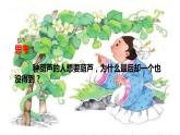 14.我要的是葫芦 （课件）（14张）