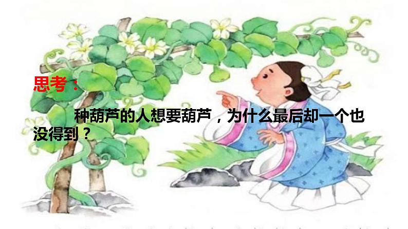 14.我要的是葫芦 （课件）（14张）05