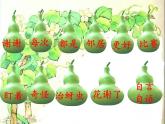 14  我要的是葫芦  （课件）（14张）