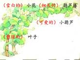 14  我要的是葫芦  （课件）（14张）