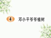 4 邓小平爷爷植树   习题课件（11张） (1)