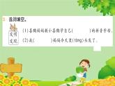 9 枫树上的喜鹊  习题课件（11张）