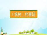 9 枫树上的喜鹊 习题课件（13张） (1)