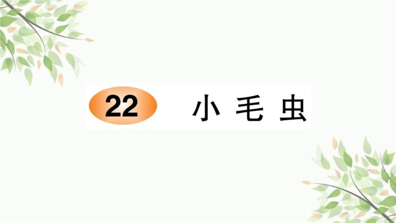 22 小毛虫   习题-课件（8张）01