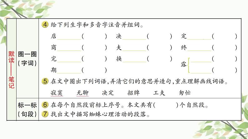 20 蜘蛛开店  习题课件第3页