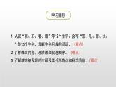 人教部编版四年级下册第二单元琥珀第一课时课件
