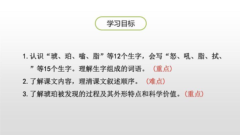 人教部编版四年级下册第二单元琥珀第一课时课件02