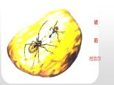 人教部编版四年级下册第二单元琥珀第一课时课件