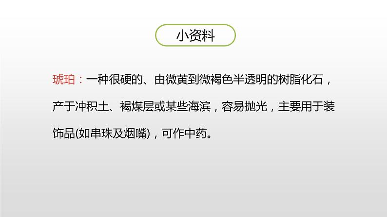 人教部编版四年级下册第二单元琥珀第一课时课件07