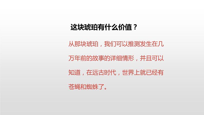 人教部编版四年级下册第二单元琥珀第二课时课件第5页