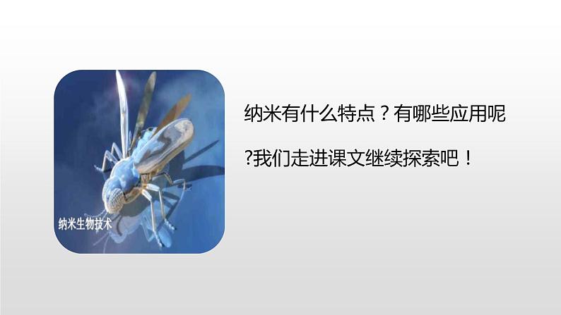 人教部编版四年级下册第二单元纳米技术就在我们身边第二课时课件第5页