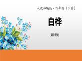 人教部编版四年级下册第三单元白桦第一课时课件