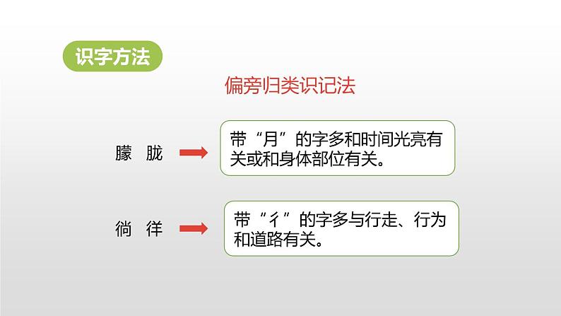 人教部编版四年级下册第三单元白桦第一课时课件第8页