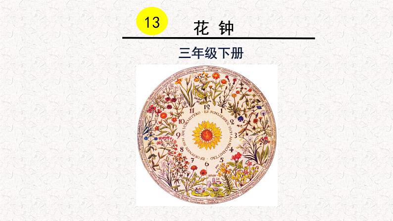 13 花钟 课件（21张PPT）03