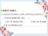 3 荷花-课件（共13张ppt）