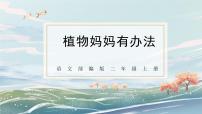 小学语文人教部编版二年级上册课文13 植物妈妈有办法课前预习课件ppt