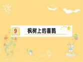 9 枫树上的喜鹊  习题课件（12张）