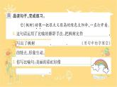 9 枫树上的喜鹊  习题课件（12张）