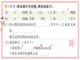 22 小毛虫  习题课件（12张）