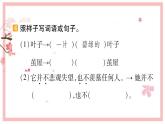 22 小毛虫  习题课件（12张）