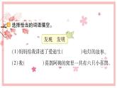 9 枫树上的喜鹊 习题课件（13张）