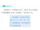 部编版语文三年级上册单元主题阅读第五单元 留心观察课件（49张PPT)