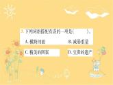 11 赵州桥  习题课件（14张）