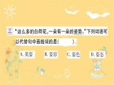 3 荷花 课件 （共14张ppt）