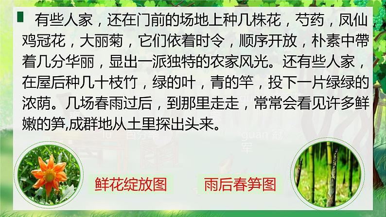 人教部编版四年级下册第一单元乡下人家第二课时第7页