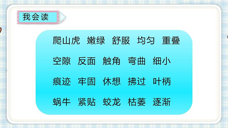 10.爬山虎的脚   课件（17 14张PPT)03