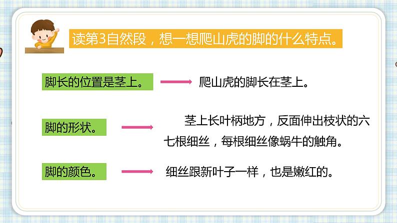 10.爬山虎的脚   课件（17 14张PPT)04