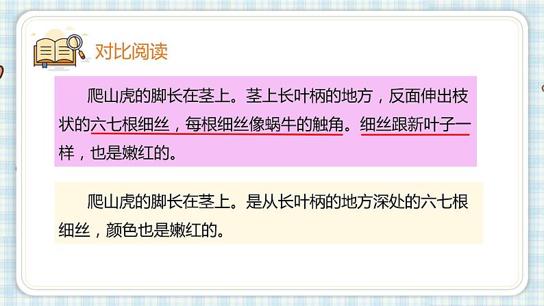 10.爬山虎的脚   课件（17 14张PPT)05