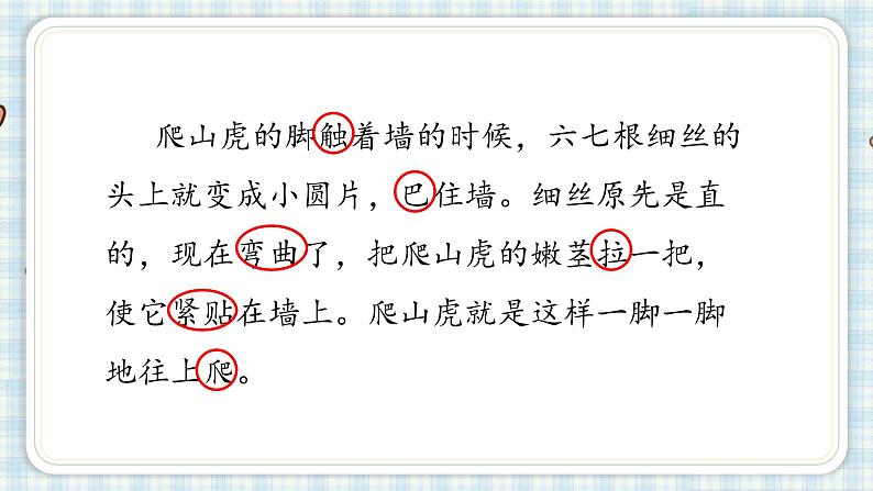 10.爬山虎的脚   课件（17 14张PPT)07