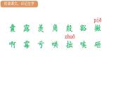 19.一只窝囊的大老虎   课件（11 16张PPT)