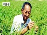 为人民服务课件  部编版语文六年级下册