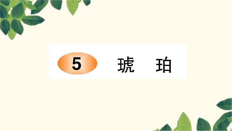 5. 琥珀    习题课件(图片版 共11张PPT)第1页