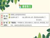 5. 琥珀    习题课件(图片版 共11张PPT)