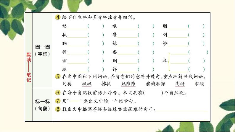 5. 琥珀    习题课件(图片版 共11张PPT)第3页