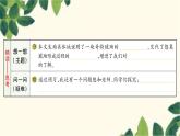 5. 琥珀    习题课件(图片版 共11张PPT)